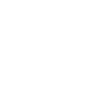 Young Collectors